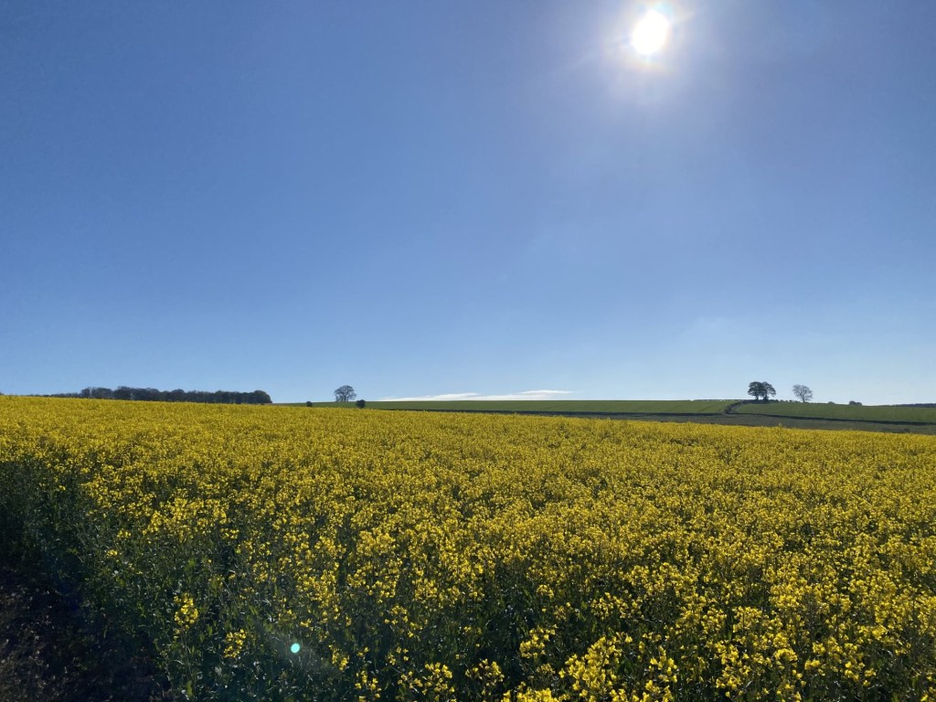 Farm Business Advice&nbsp;Service